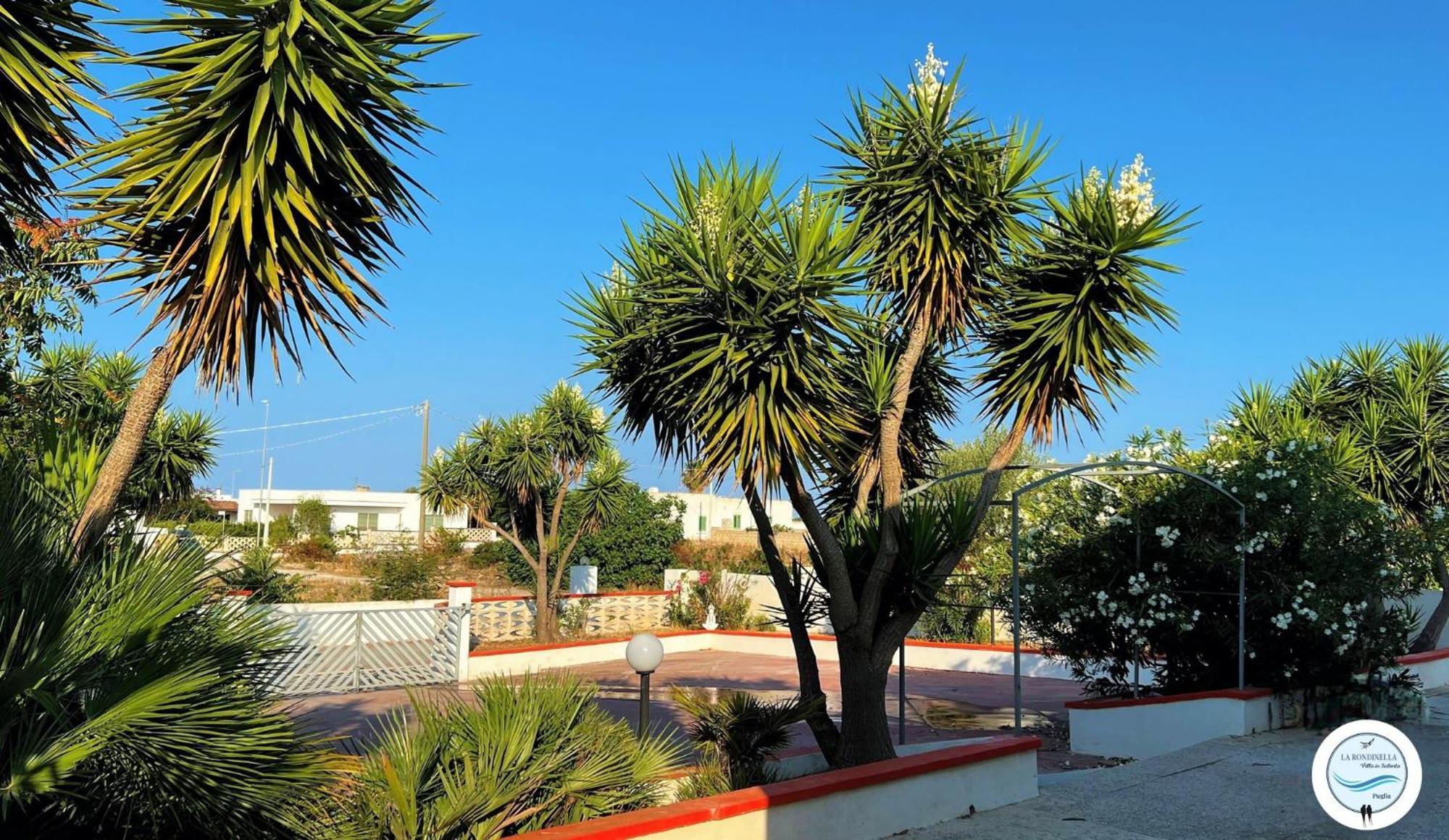 Villa La Rondinella - Torre San Giovanni Exteriér fotografie