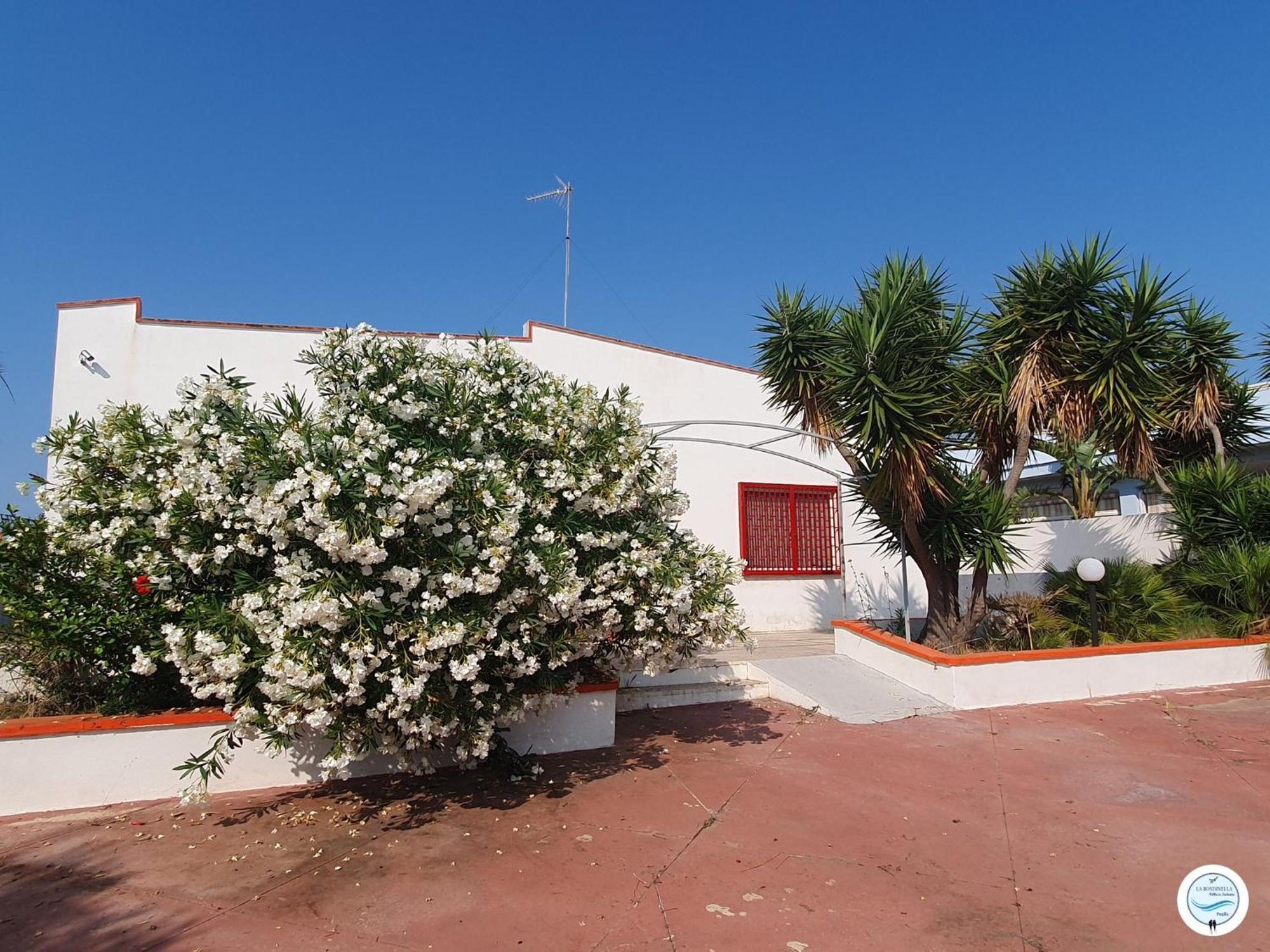 Villa La Rondinella - Torre San Giovanni Exteriér fotografie
